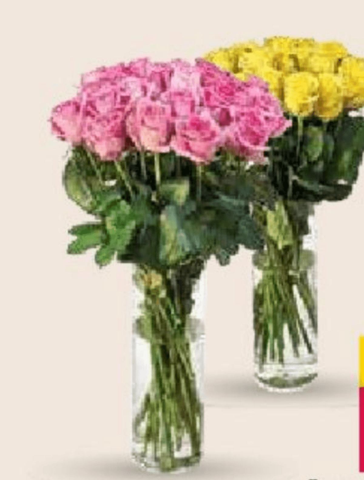 Šopek vrtnice mix - Akcija v trgovini Mercator