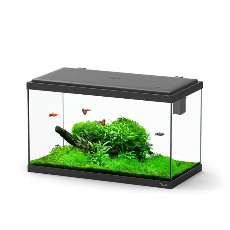 Akvarij Aquatlantis Explorer Paris 60 LED 58L - Akcija v trgovini Mr. Pet