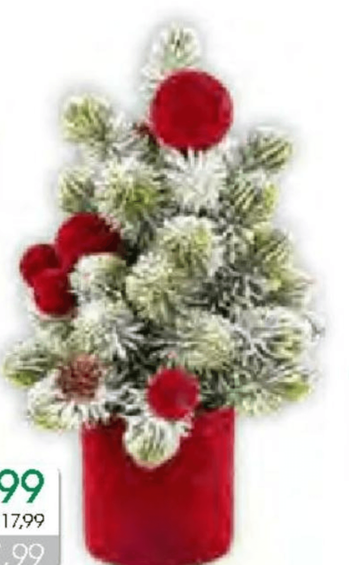 Vivi Božični aranžma - Akcija v trgovini Tuš