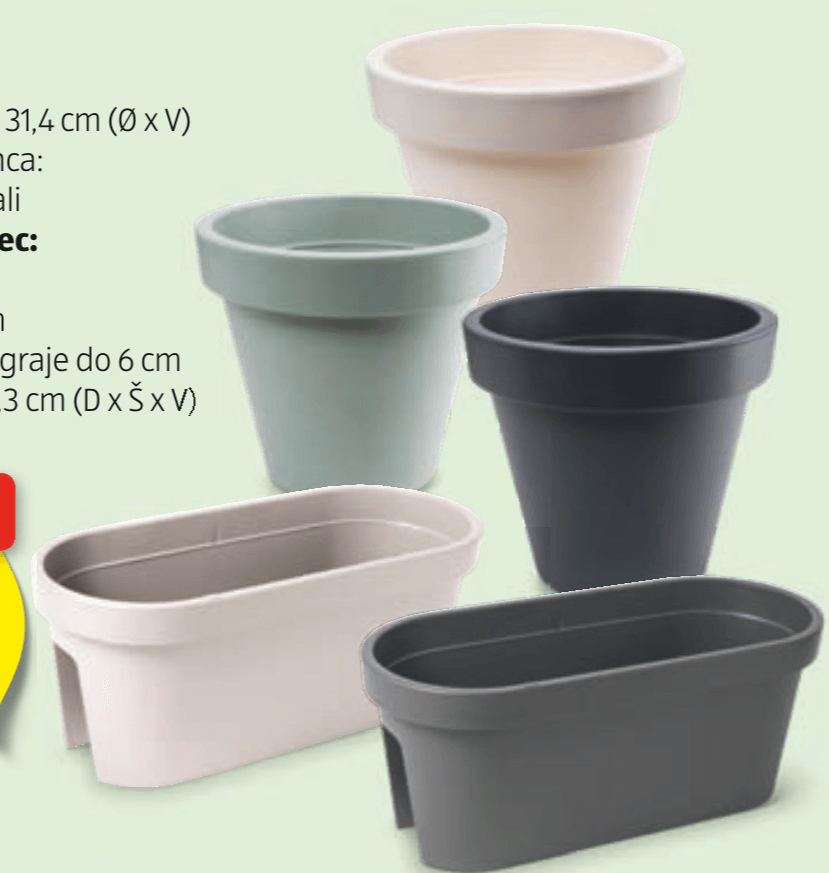 Belavi Cvetlični lonec - Akcija v trgovini Hofer