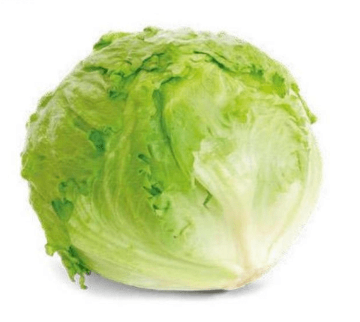 Solata ledenka - Akcija v trgovini Lidl