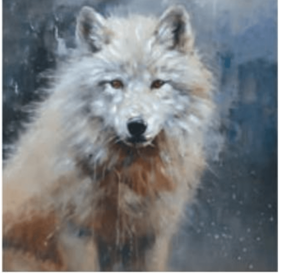 Slika „LOUP" - Akcija v trgovini Mömax