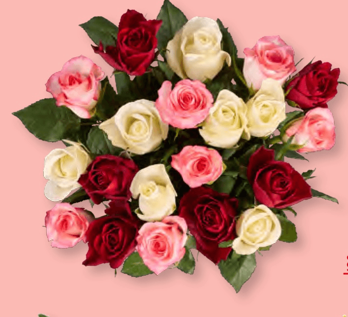 Srednje velik šopek - Akcija v trgovini Lidl