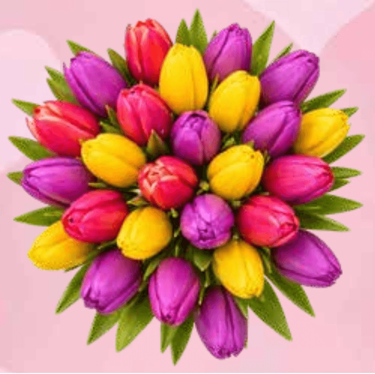 Šopek tulipanov - Akcija v trgovini Spar