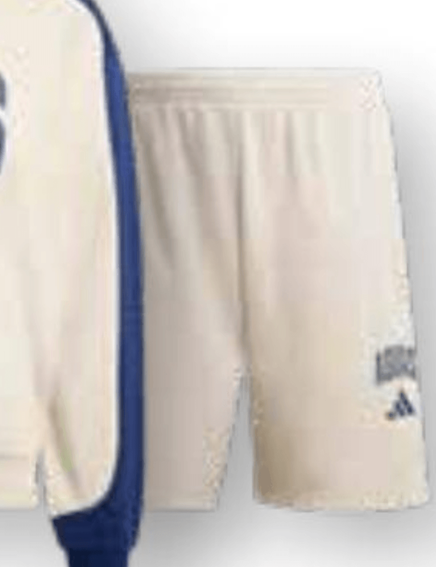 Adidas Moške kratke hlače - Akcija v trgovini Hervis