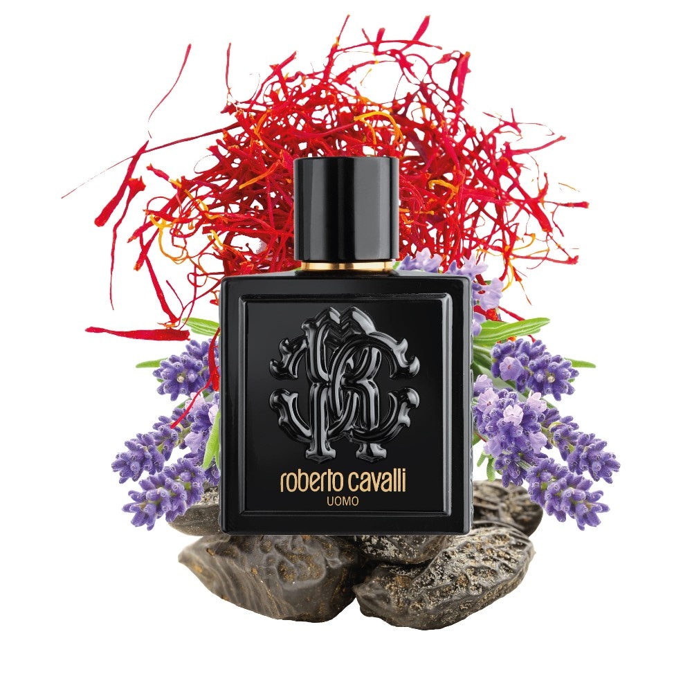Roberto Cavalli moška toaletna voda 100 ml Akcija u trgovini E.Leclerc
