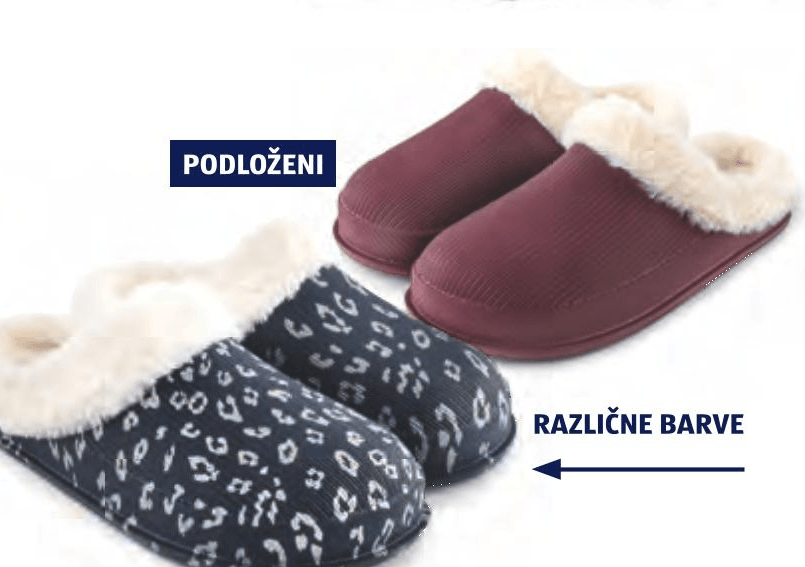 Ženski podloženi natikači UP 2 FASHION BASICS - Akcija v trgovini Hofer