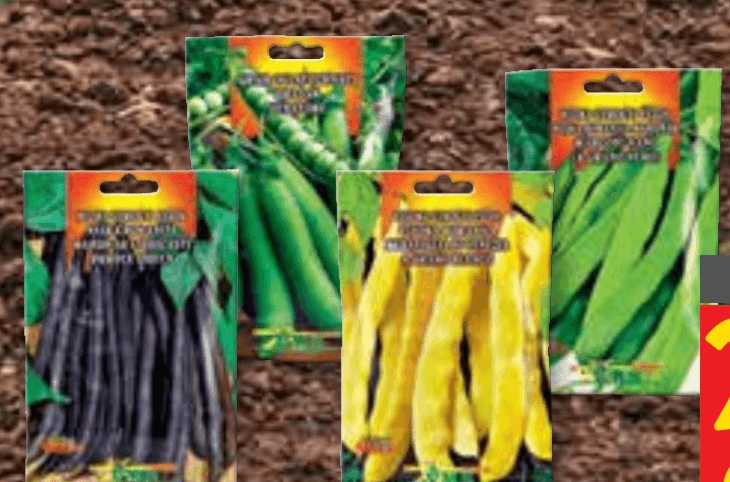 Fižoli in grahi 100 g + 200 g VMS - Akcija v trgovini Spar