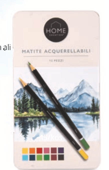 HOME CREATION Slikarska pisala 12 kosov - Akcija v trgovini Hofer
