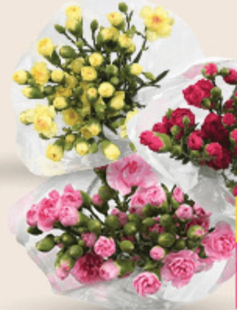 Nagelj - Akcija v trgovini Spar