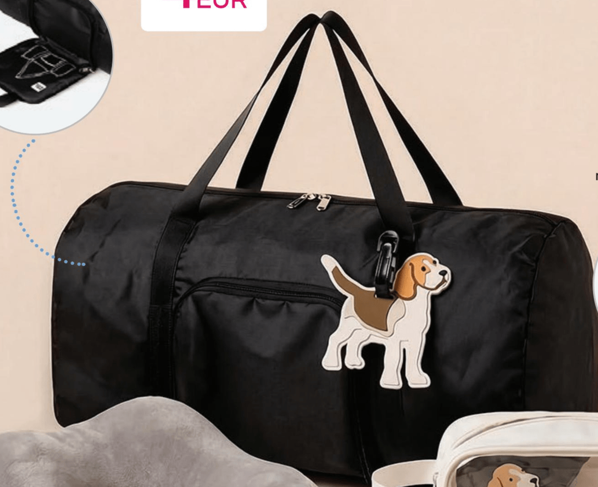 Zložljiva potovalna torba - Akcija v trgovini Pepco