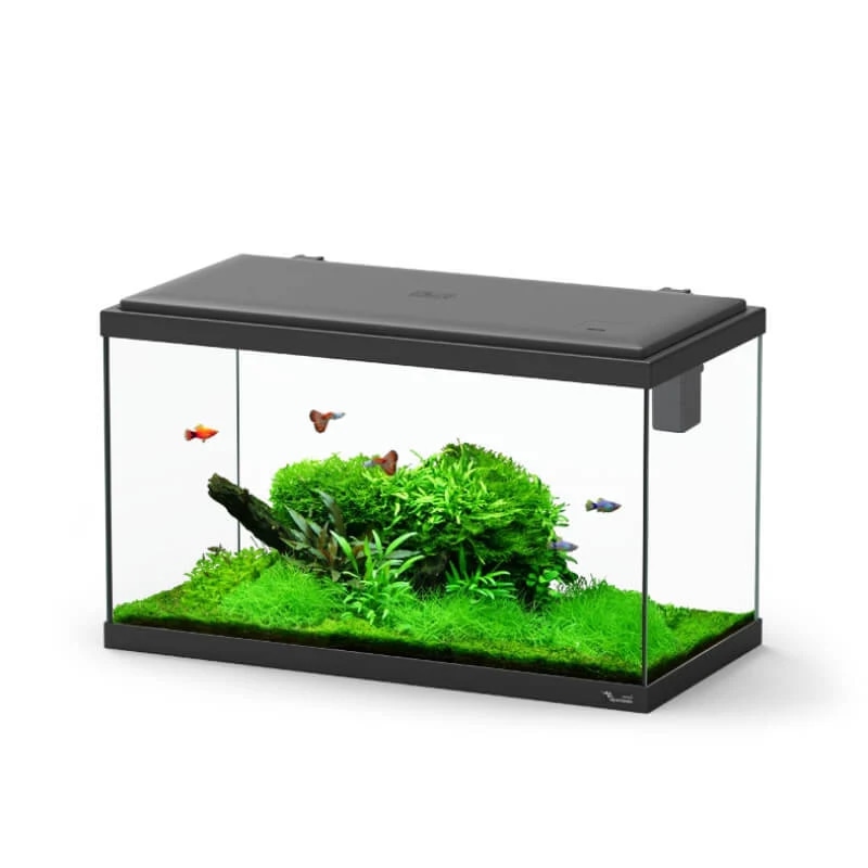 AquaTlantis Explorer Paris LED Biobox 58 l Akcija v trgovini Mr. Pet
