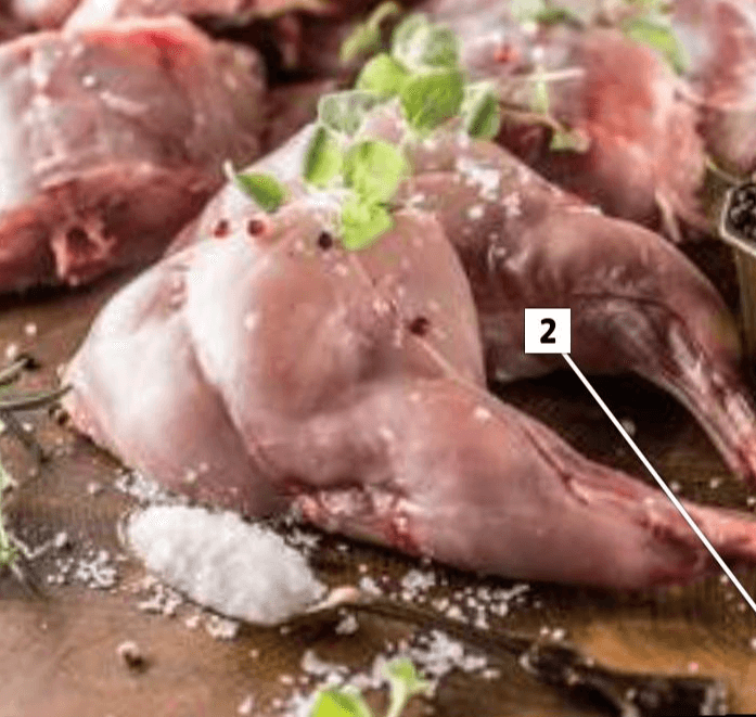 Kunec - Akcija v trgovini E.Leclerc