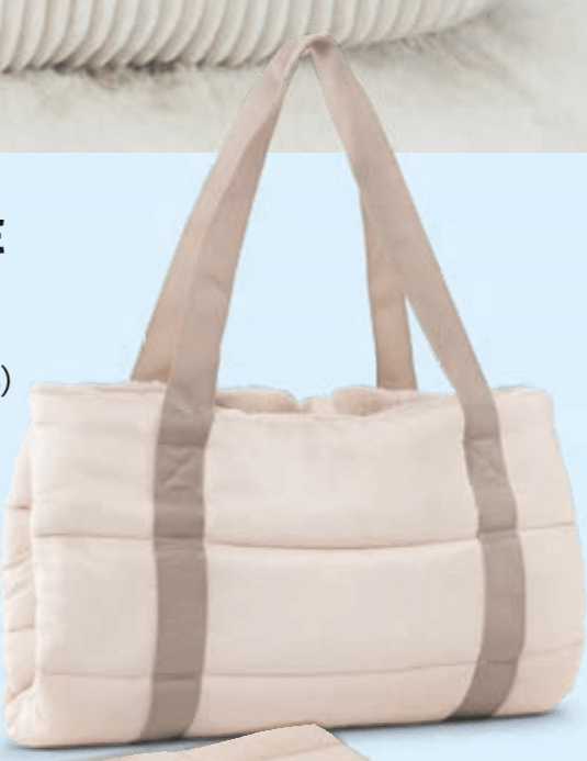 Romeo Zložljivo potovalno ležišče za psa - Akcija v trgovini Hofer