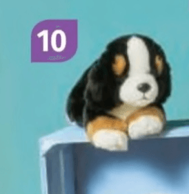 Bernski planšar - Akcija v trgovini Mueller