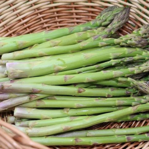 Sadike šparglji 7/1 - Akcija v trgovini Jager