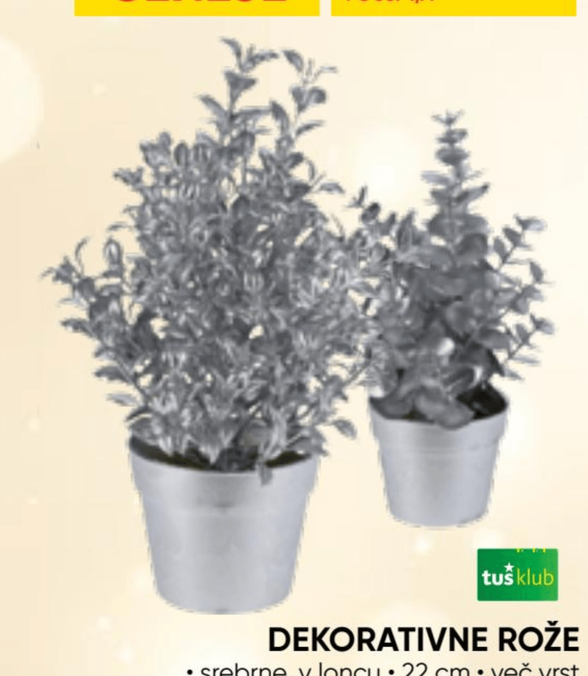 Dekorativne rože - Akcija v trgovini Tuš