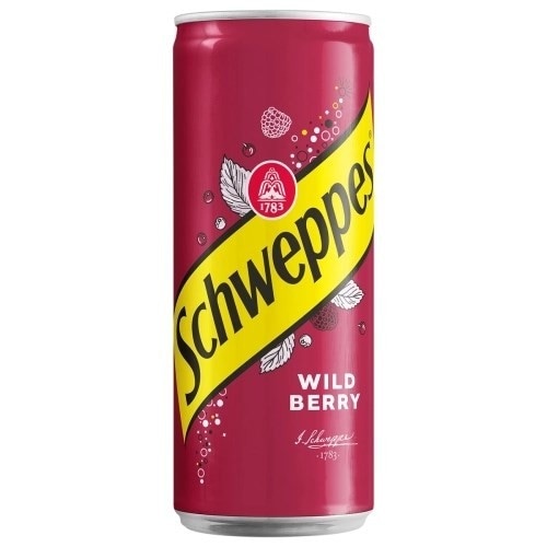 SCHWEPPES 330 ml - Akcija v trgovini Regal Shop