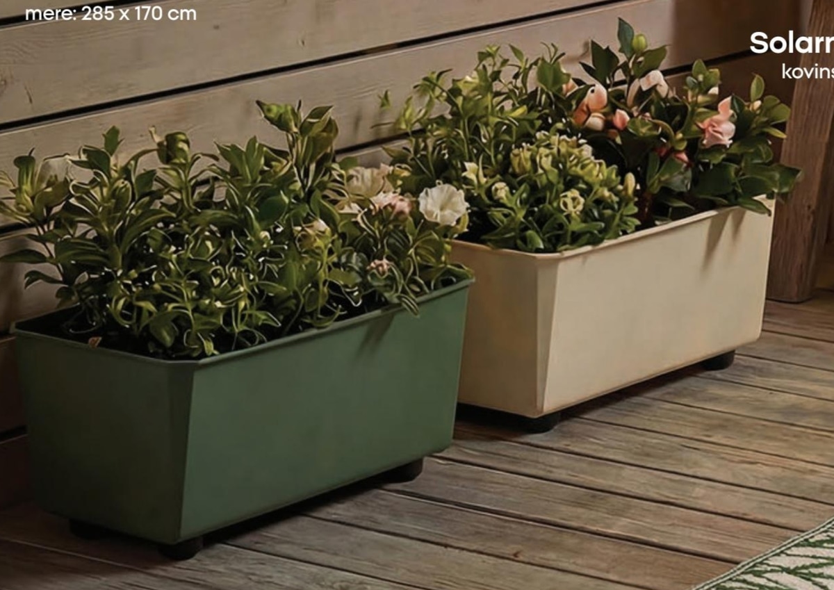 Sadilnik - Akcija v trgovini Pepco