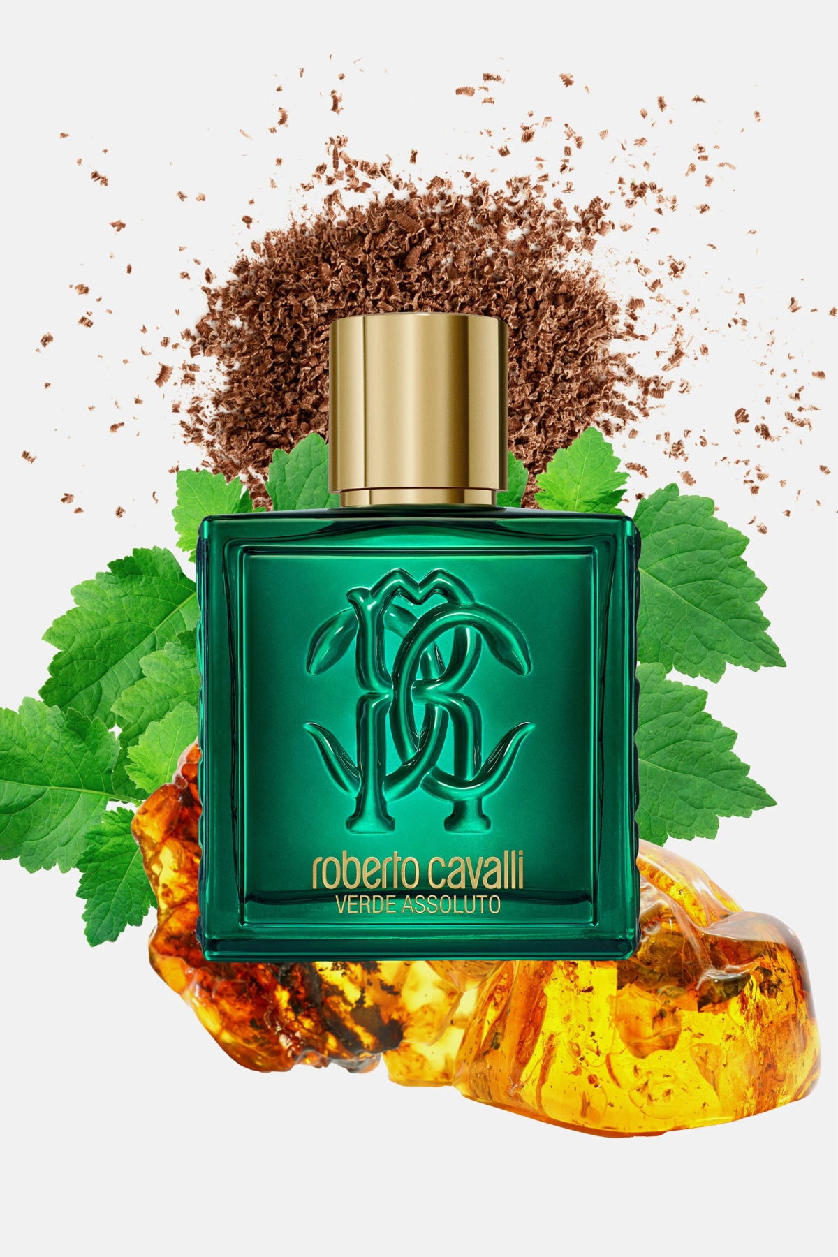 Roberto Cavalli Verde Assoluto Uomo 100 ml - Akcija v trgovini Mueller