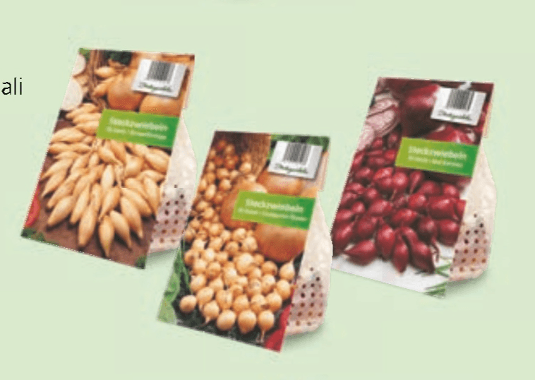 Čebula za sajenje - Akcija v trgovini Hofer