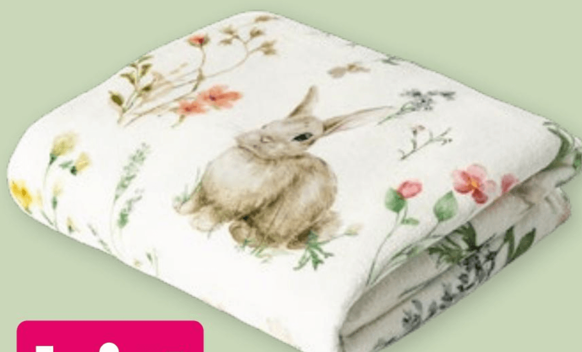 Odeja 130 x 170 cm - Akcija v trgovini Pepco