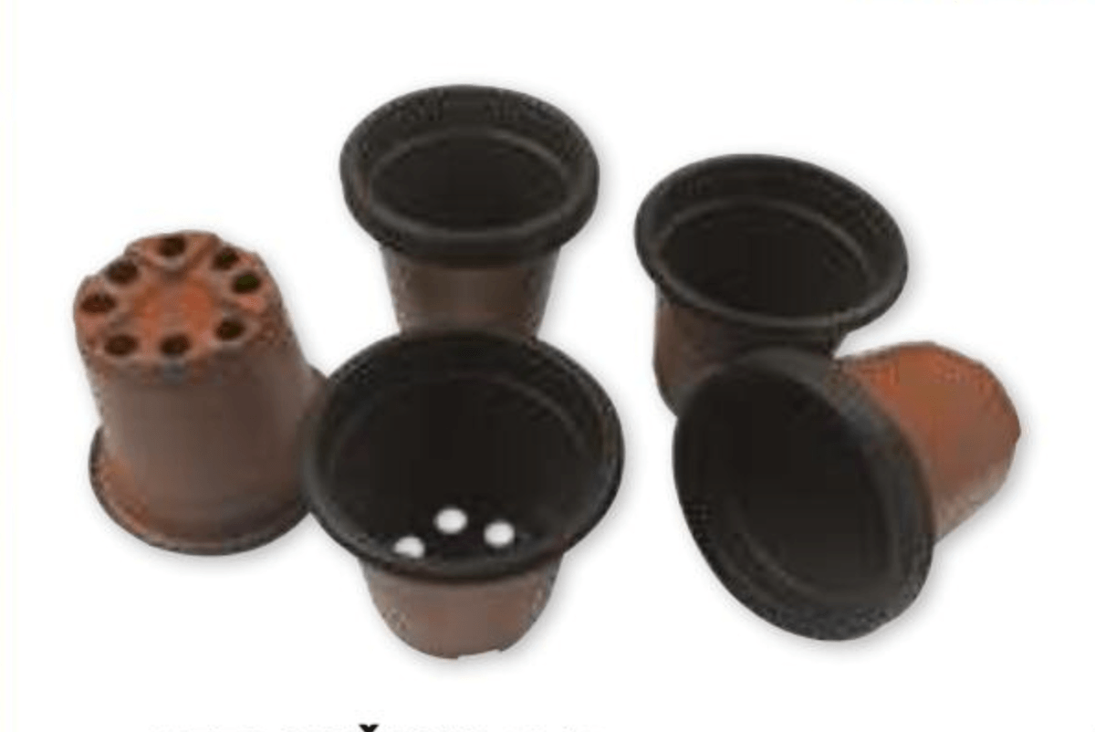 SET LONČKOV 10/1 Beaux jours - Akcija v trgovini E.Leclerc