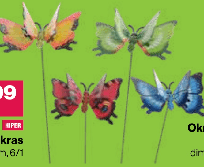 Okras metuljček - Akcija v trgovini Mercator