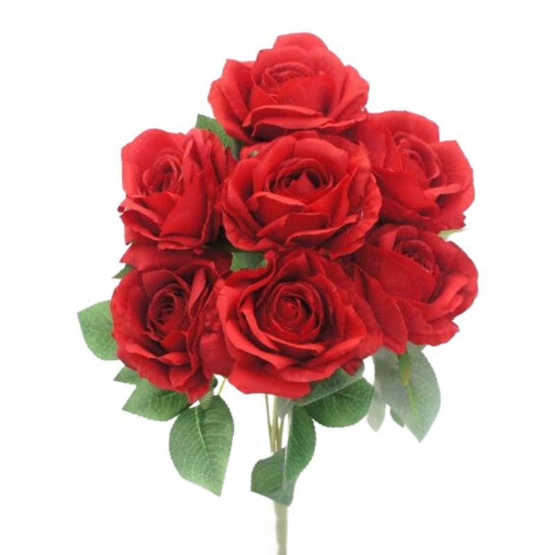 VRTNICE - Akcija v trgovini Hofer