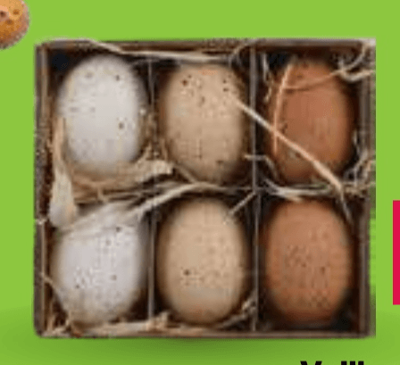 Velikonočni okras jajce s perjem 6/1 - Akcija v trgovini Mercator