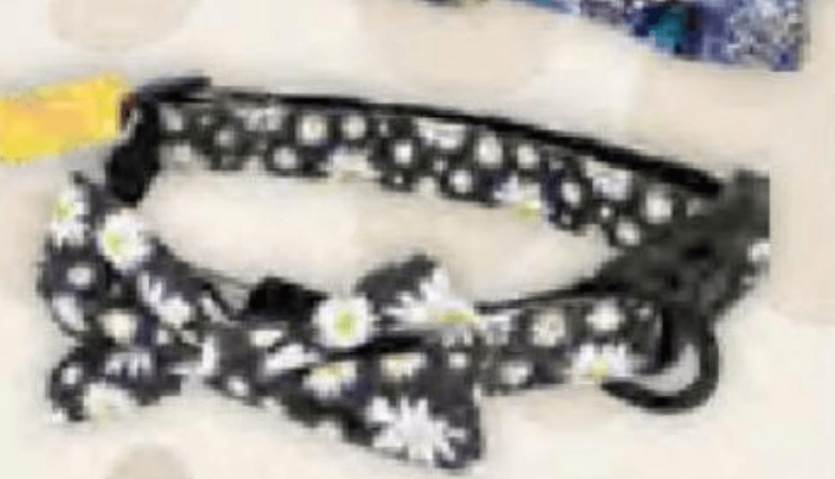 Petsy Ovratnica za pse z mašnico - Akcija v trgovini Tuš