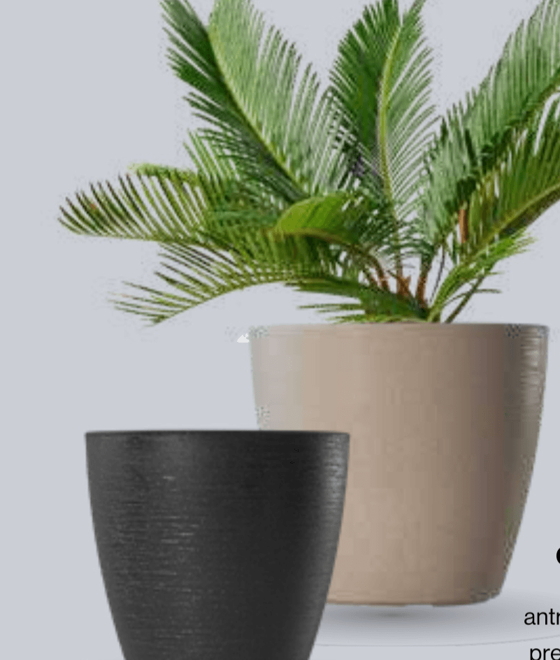 Cvetlični lonec Glamour Lux 18 cm - Akcija v trgovini Mercator