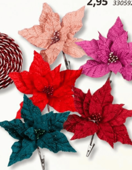 Božična zvezda - Akcija v trgovini Bauhaus