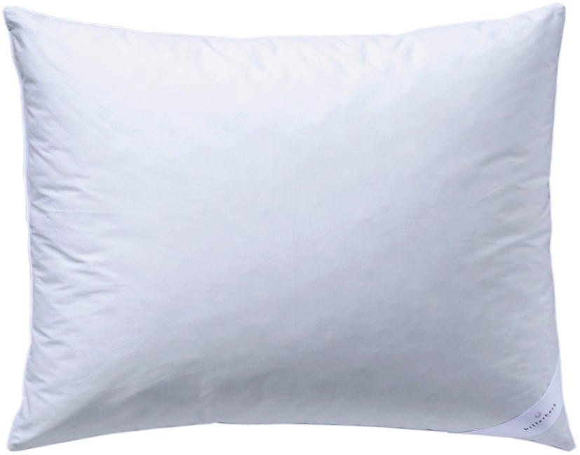 Vzglavnik S03 SALE 60 x 80 cm - Akcija v trgovini Lesnina