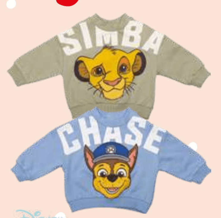 Disney Baby Deški pulover - Akcija v trgovini E.Leclerc