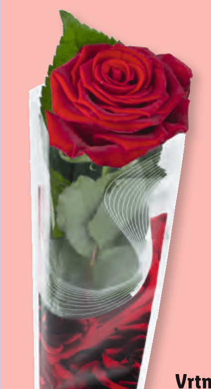 Vrtnica - Akcija v trgovini Lidl