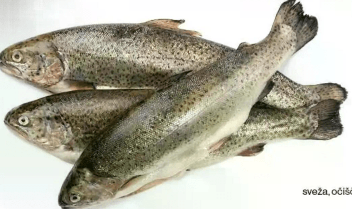 Šarenka - Akcija v trgovini Mercator