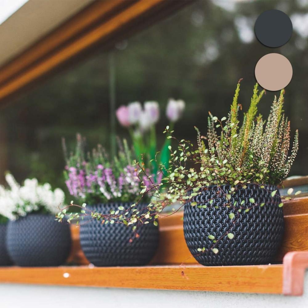 PVC cvetlični lonec SPLOFY 18 x 18 x 13,6 cm - Akcija v trgovini Pevex