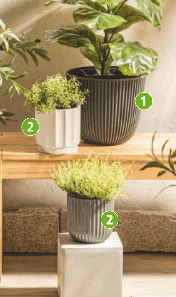 Cvetlični lonec BELAVI - Akcija u trgovini Hofer