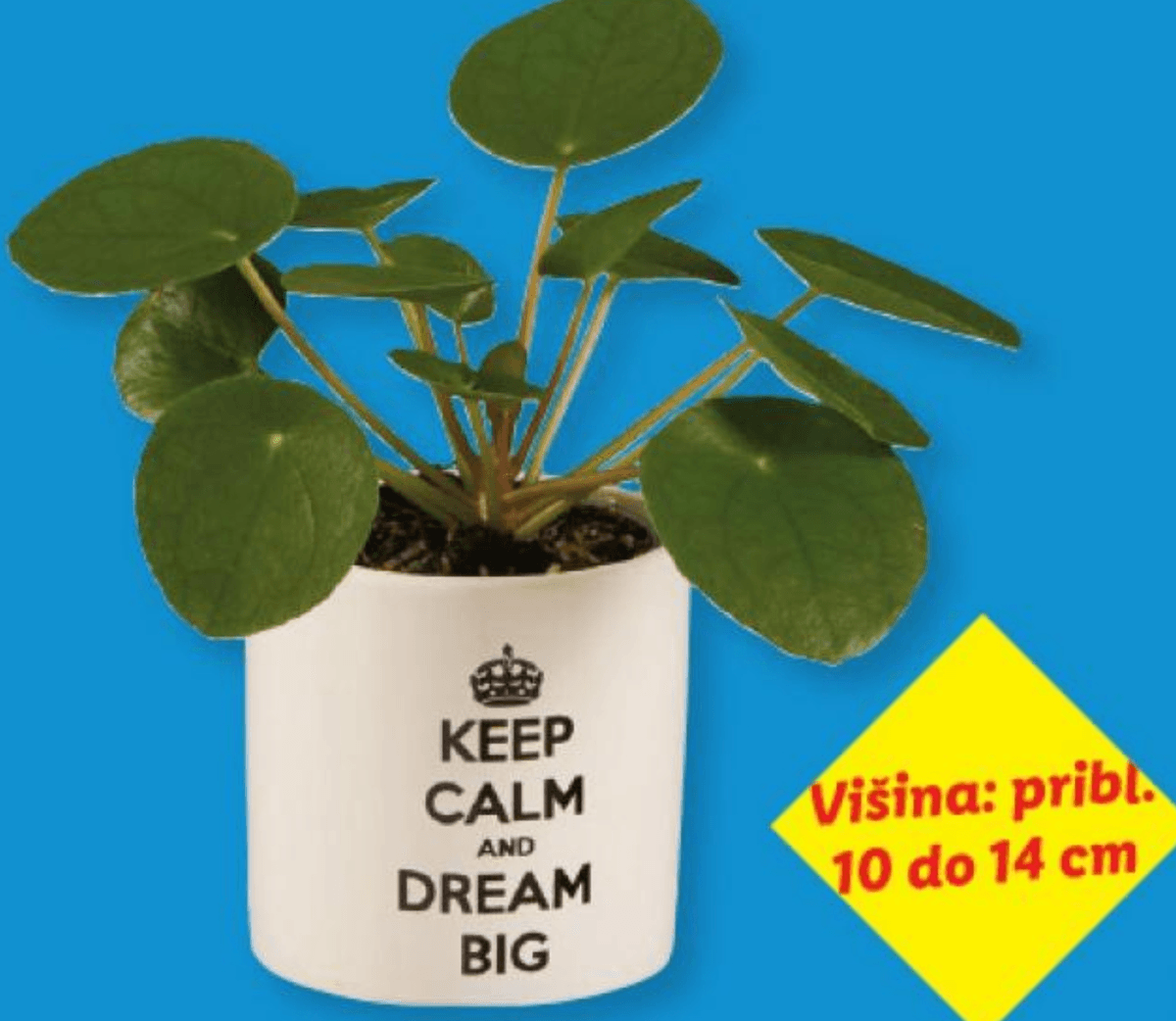 Mini pileja - Akcija v trgovini Lidl