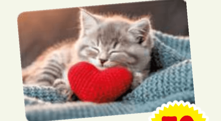 POGRINJEK - Akcija v trgovini E.Leclerc