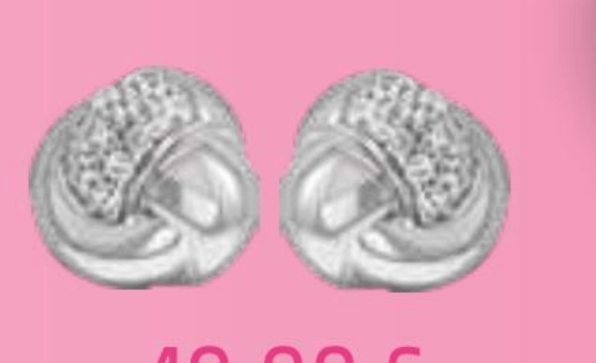 Uhani s cirkonijevimi oksidi - Akcija v trgovini E.Leclerc