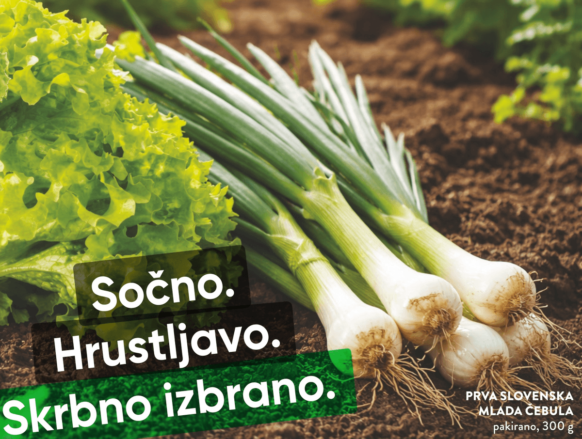 Čebula pakirano, XXL (1,5 kg + 500 g GRATIS) SPAR - Akcija v trgovini Spar