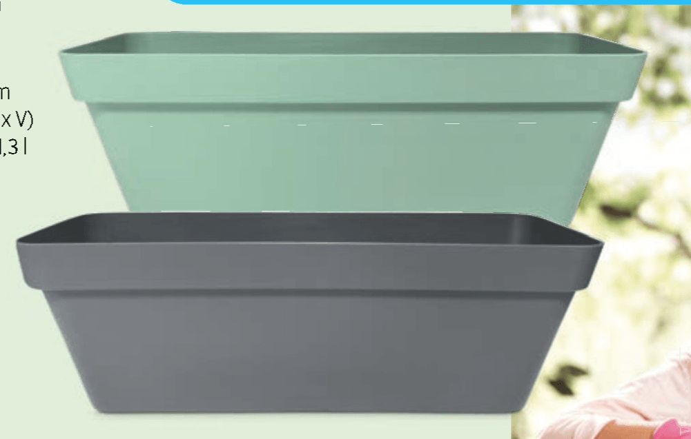 Balkonsko korito - Akcija v trgovini Hofer