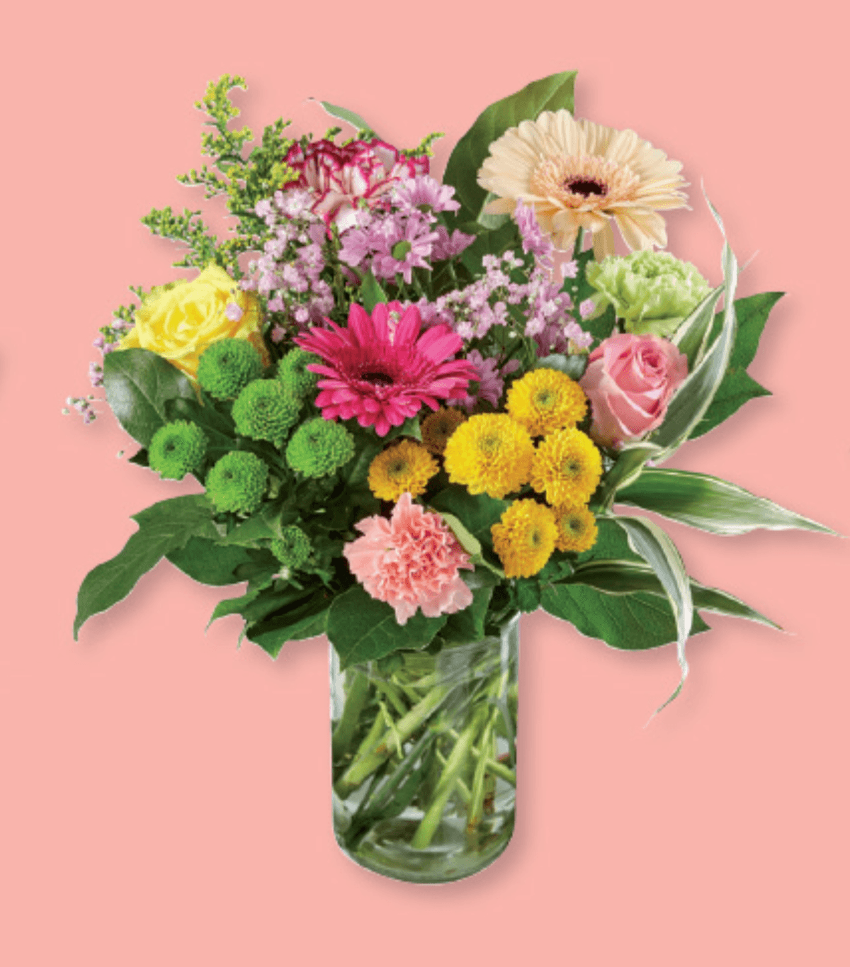 Pomladni šopek/veliki šopek za mami - Akcija v trgovini Lidl