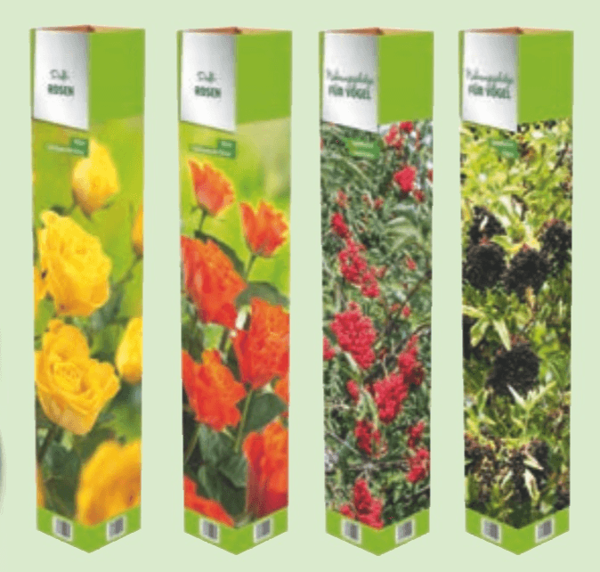 Sadike dreves/Vrtnica Rosen - Akcija v trgovini Hofer