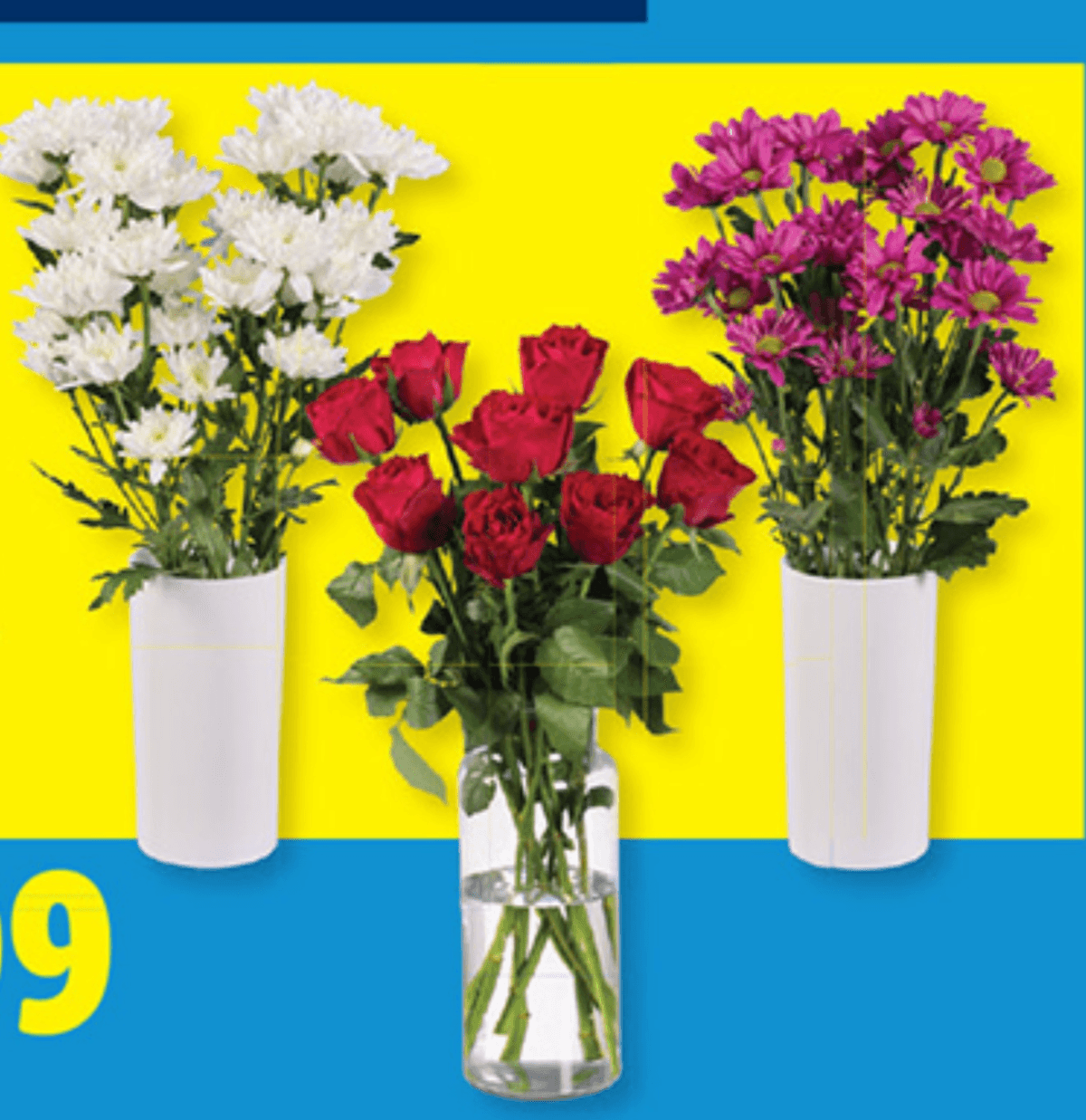 Rezano cvetje - Akcija v trgovini Lidl