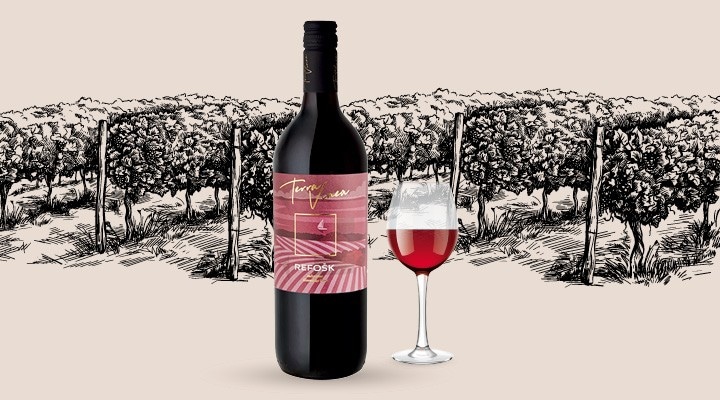 Vina Terra Vinea various Akcija v trgovini Mercator