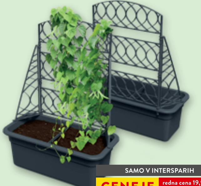 Korito za rože Bloma Pergola - Akcija v trgovini Spar