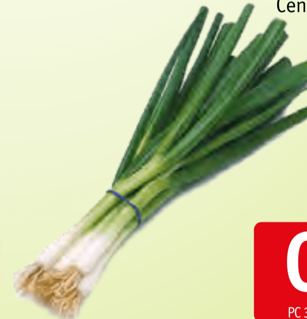 Mlada čebula - Akcija v trgovini Jager